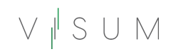 Visum Logo